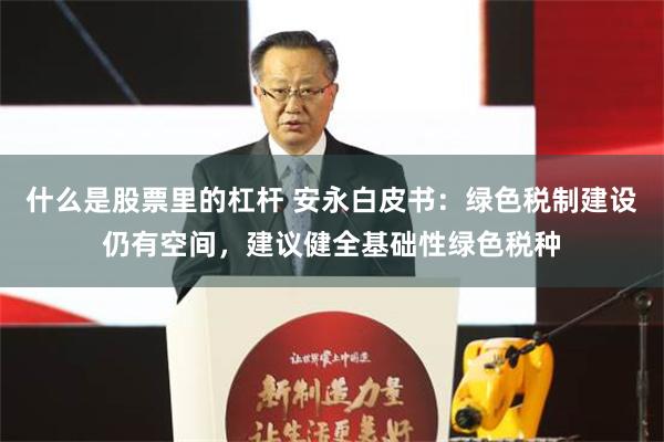 什么是股票里的杠杆 安永白皮书：绿色税制建设仍有空间，建议健全基础性绿色税种