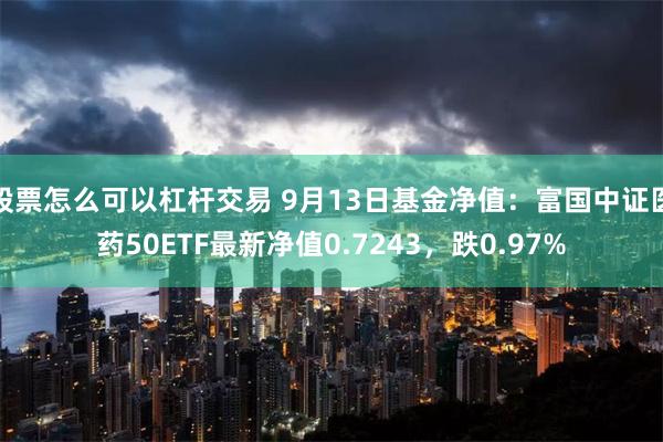 股票怎么可以杠杆交易 9月13日基金净值：富国中证医药50ETF最新净值0.7243，跌0.97%