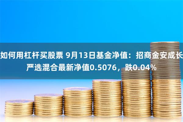 如何用杠杆买股票 9月13日基金净值：招商金安成长严选混合最新净值0.5076，跌0.04%