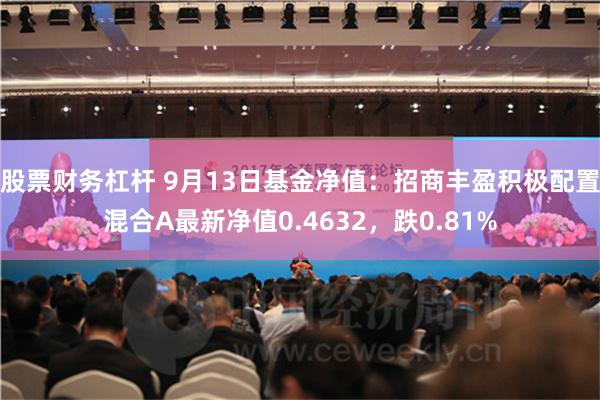 股票财务杠杆 9月13日基金净值：招商丰盈积极配置混合A最新净值0.4632，跌0.81%