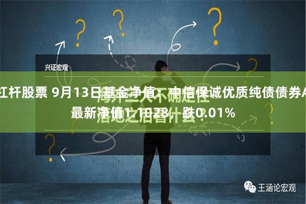 杠杆股票 9月13日基金净值：中信保诚优质纯债债券A最新净值1.1028，跌0.01%