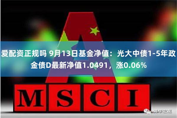 爱配资正规吗 9月13日基金净值：光大中债1-5年政金债D最新净值1.0491，涨0.06%
