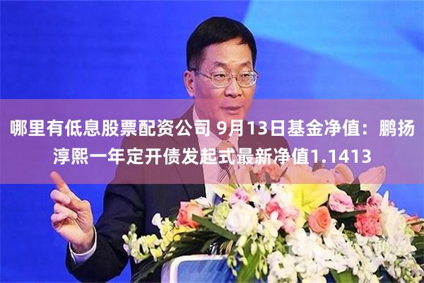 哪里有低息股票配资公司 9月13日基金净值：鹏扬淳熙一年定开债发起式最新净值1.1413