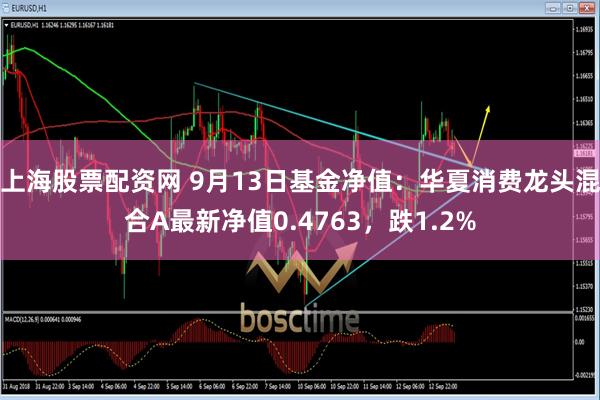 上海股票配资网 9月13日基金净值：华夏消费龙头混合A最新净值0.4763，跌1.2%