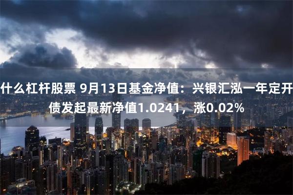 什么杠杆股票 9月13日基金净值：兴银汇泓一年定开债发起最新净值1.0241，涨0.02%