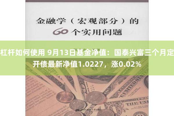 杠杆如何使用 9月13日基金净值：国泰兴富三个月定开债最新净值1.0227，涨0.02%