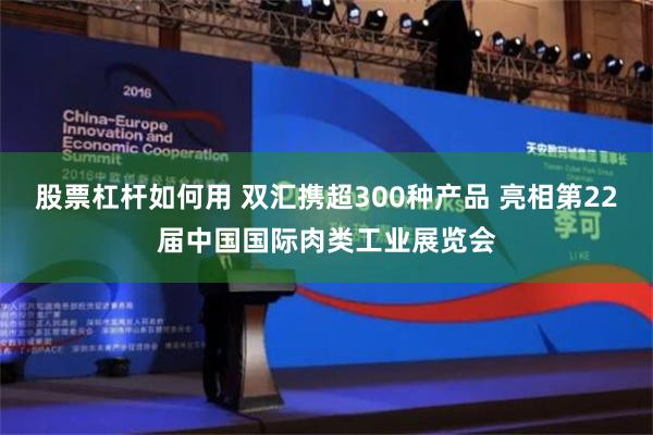 股票杠杆如何用 双汇携超300种产品 亮相第22届中国国际肉类工业展览会