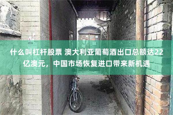 什么叫杠杆股票 澳大利亚葡萄酒出口总额达22亿澳元，中国市场恢复进口带来新机遇