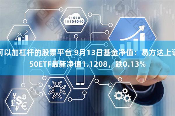 可以加杠杆的股票平台 9月13日基金净值：易方达上证50ETF最新净值1.1208，跌0.13%