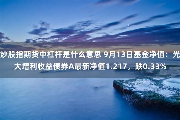 炒股指期货中杠杆是什么意思 9月13日基金净值:光大增利收益债券A最新净值1.217,跌0.33%
