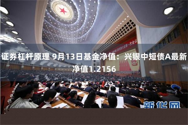 证券杠杆原理 9月13日基金净值：兴银中短债A最新净值1.2156