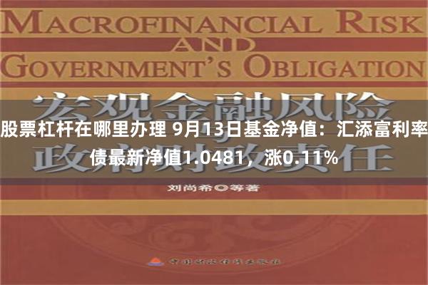 股票杠杆在哪里办理 9月13日基金净值：汇添富利率债最新净值1.0481，涨0.11%