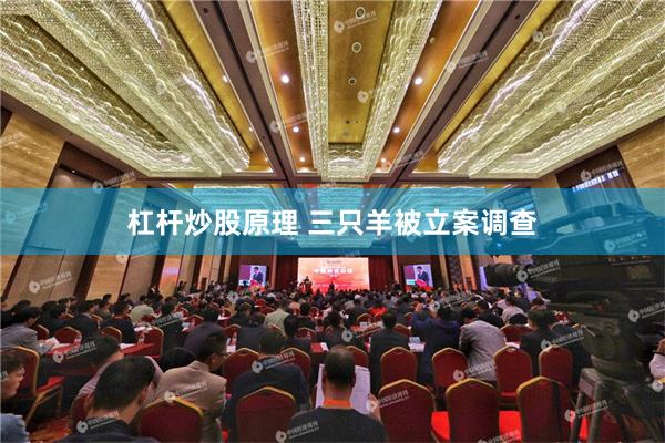 杠杆炒股原理 三只羊被立案调查