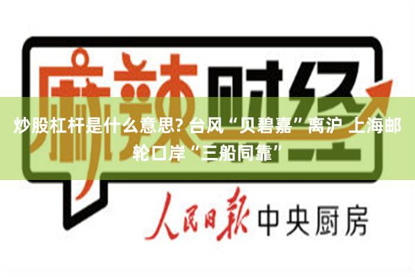 炒股杠杆是什么意思? 台风“贝碧嘉”离沪 上海邮轮口岸“三船同靠”