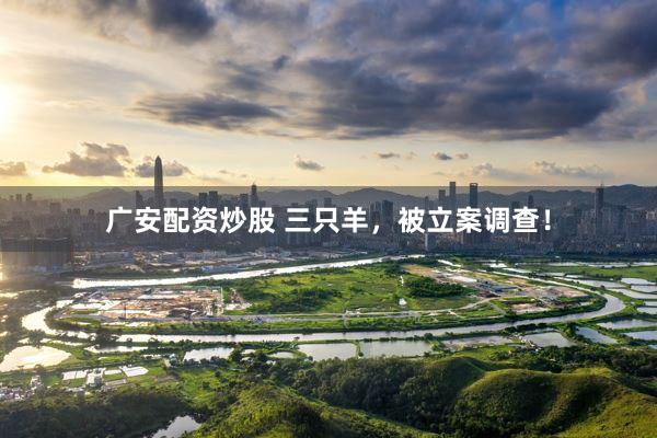 广安配资炒股 三只羊，被立案调查！