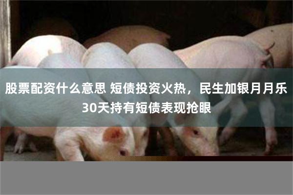 股票配资什么意思 短债投资火热，民生加银月月乐30天持有短债表现抢眼