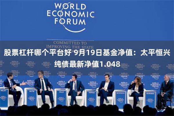 股票杠杆哪个平台好 9月19日基金净值：太平恒兴纯债最新净值1.048