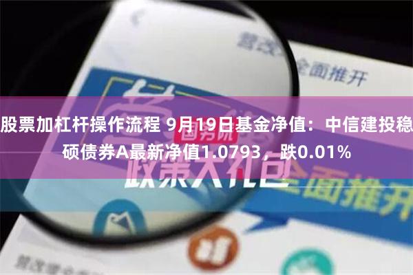 股票加杠杆操作流程 9月19日基金净值：中信建投稳硕债券A最新净值1.0793，跌0.01%
