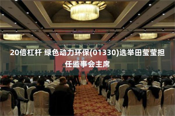 20倍杠杆 绿色动力环保(01330)选举田莹莹担任监事会主席