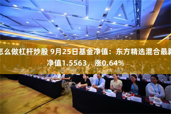 怎么做杠杆炒股 9月25日基金净值：东方精选混合最新净值1.5563，涨0.64%