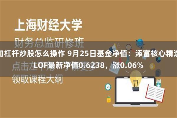 加杠杆炒股怎么操作 9月25日基金净值：添富核心精选LOF最新净值0.6238，涨0.06%