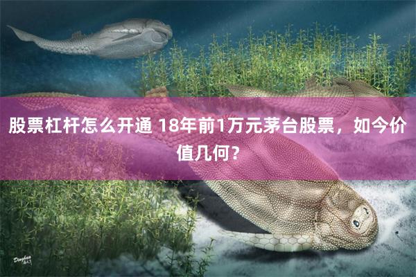 股票杠杆怎么开通 18年前1万元茅台股票，如今价值几何？