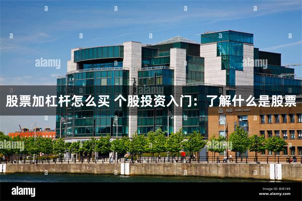 股票加杠杆怎么买 个股投资入门：了解什么是股票