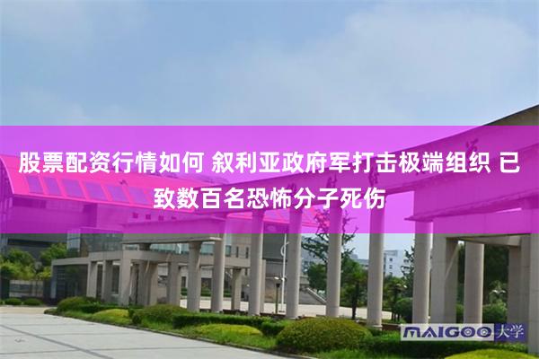 股票配资行情如何 叙利亚政府军打击极端组织 已致数百名恐怖分子死伤