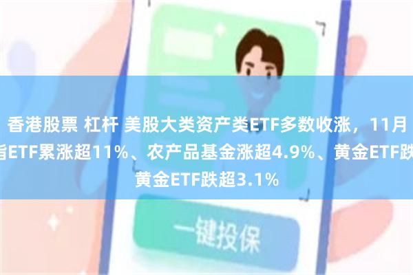 香港股票 杠杆 美股大类资产类ETF多数收涨，11月小盘股指ETF累涨超11%、农产品基金涨超4.9%、黄金ETF跌超3.1%