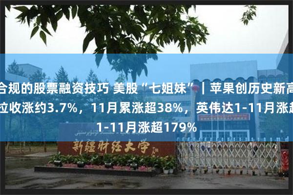 合规的股票融资技巧 美股“七姐妹”｜苹果创历史新高，特斯拉收涨约3.7%，11月累涨超38%，英伟达1-11月涨超179%
