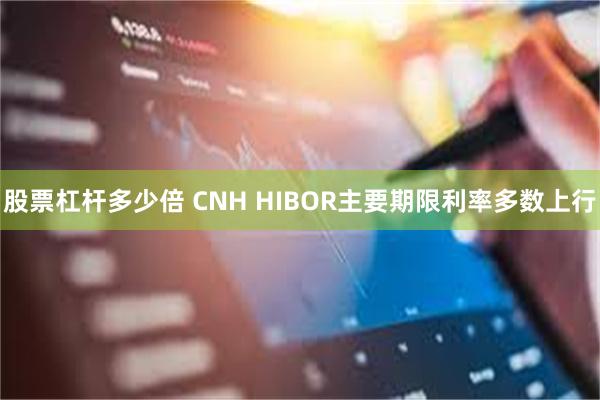股票杠杆多少倍 CNH HIBOR主要期限利率多数上行