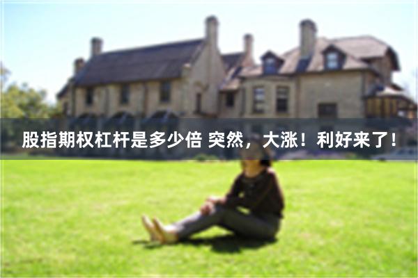 股指期权杠杆是多少倍 突然，大涨！利好来了！
