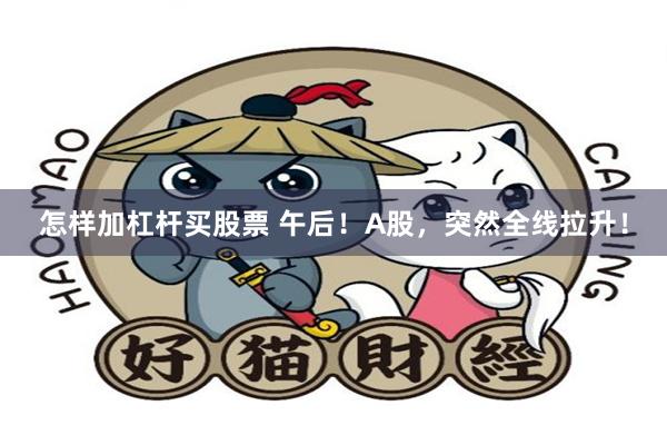 怎样加杠杆买股票 午后！A股，突然全线拉升！