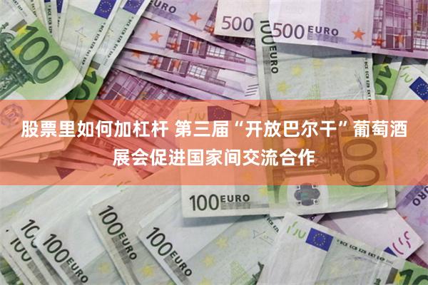 股票里如何加杠杆 第三届“开放巴尔干”葡萄酒展会促进国家间交流合作