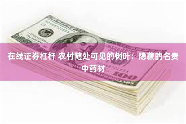 在线证劵杠杆 农村随处可见的树叶：隐藏的名贵中药材