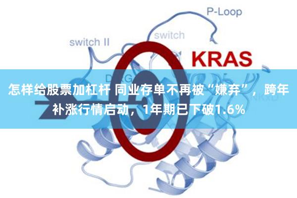 怎样给股票加杠杆 同业存单不再被“嫌弃”，跨年补涨行情启动，1年期已下破1.6%