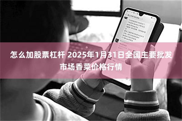 怎么加股票杠杆 2025年1月31日全国主要批发市场香菜价格行情