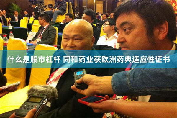 什么是股市杠杆 同和药业获欧洲药典适应性证书