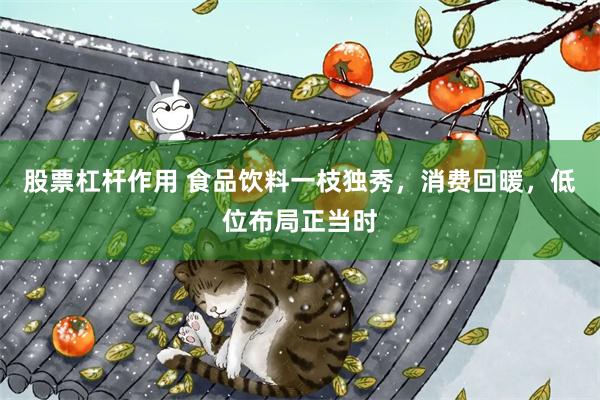 股票杠杆作用 食品饮料一枝独秀，消费回暖，低位布局正当时