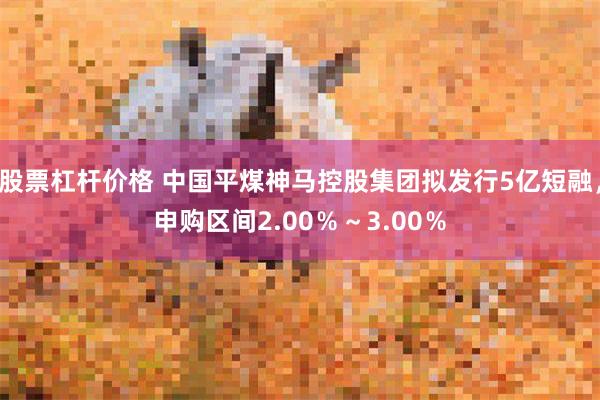 股票杠杆价格 中国平煤神马控股集团拟发行5亿短融，申购区间2.00％～3.00％