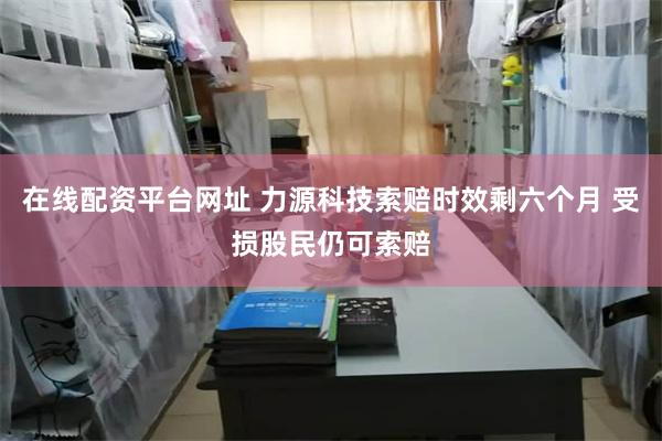在线配资平台网址 力源科技索赔时效剩六个月 受损股民仍可索赔
