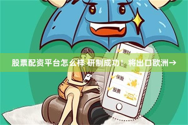 股票配资平台怎么样 研制成功！将出口欧洲→