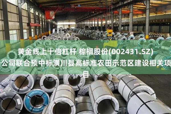 黄金线上十倍杠杆 棕榈股份(002431.SZ)子公司联合预中标潢川县高标准农田示范区建设相关项目