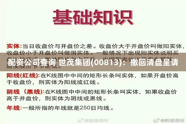 配资公司查询 世茂集团(00813)：撤回清盘呈请