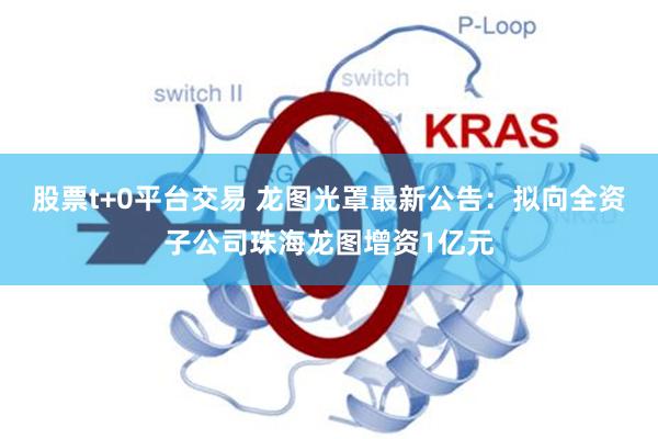 股票t+0平台交易 龙图光罩最新公告：拟向全资子公司珠海龙图增资1亿元