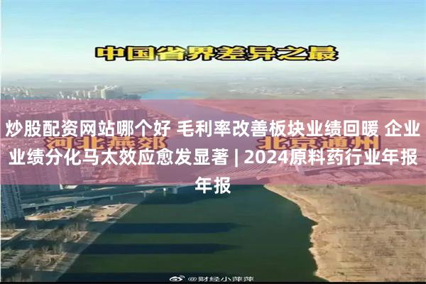 炒股配资网站哪个好 毛利率改善板块业绩回暖 企业业绩分化马太效应愈发显著 | 2024原料药行业年报