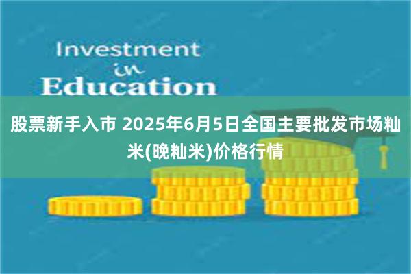 股票新手入市 2025年6月5日全国主要批发市场籼米(晚籼米)价格行情