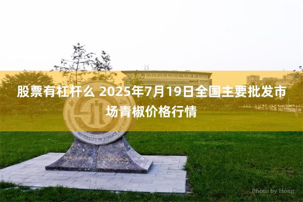 股票有杠杆么 2025年7月19日全国主要批发市场青椒价格行情