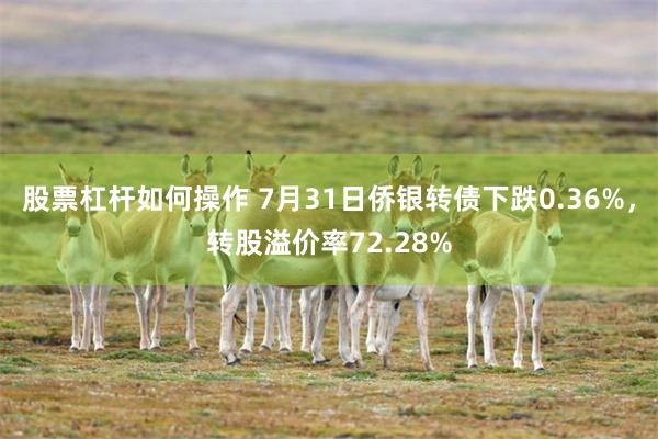股票杠杆如何操作 7月31日侨银转债下跌0.36%，转股溢价率72.28%