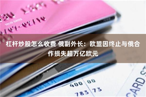 杠杆炒股怎么收费 俄副外长：欧盟因终止与俄合作损失超万亿欧元